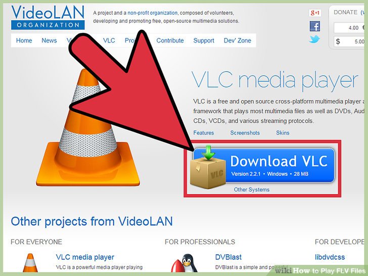 Flv Media Player Mac Download